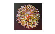 Image - Use Mouse wheel or arrows to navigate