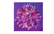 Image - Use Mouse wheel or arrows to navigate